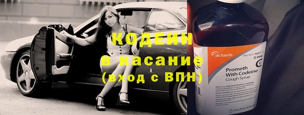 сатива Бронницы