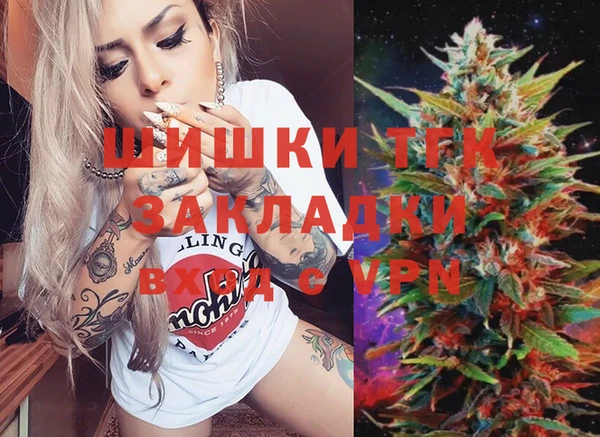 сатива Бронницы