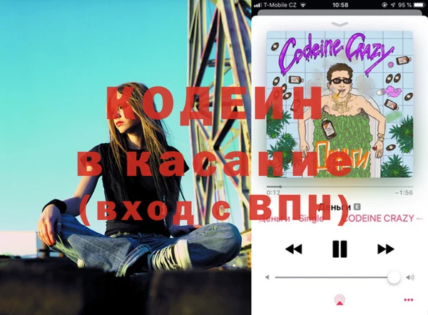 сатива Бронницы