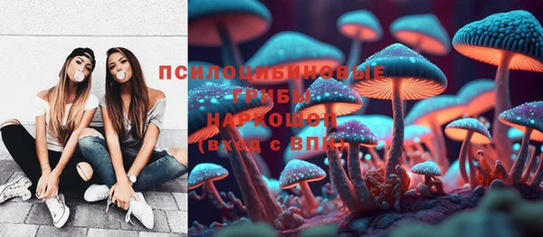 сатива Бронницы