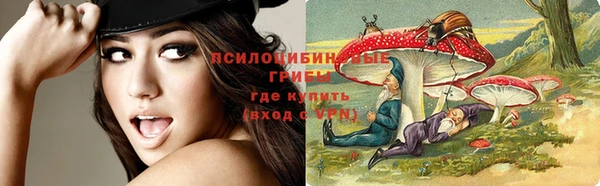 кокс Бородино