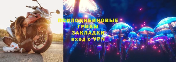 кокс Бородино