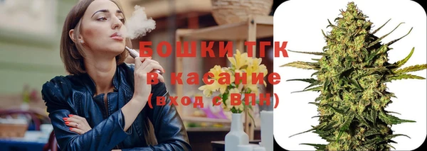 сатива Бронницы
